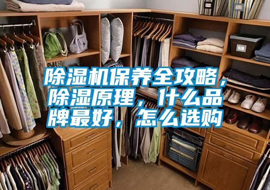 除濕機保養全攻略，除濕原理，什么品牌最好，怎么選購