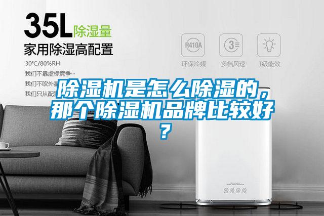 除濕機(jī)是怎么除濕的,那個(gè)除濕機(jī)品牌比較好?