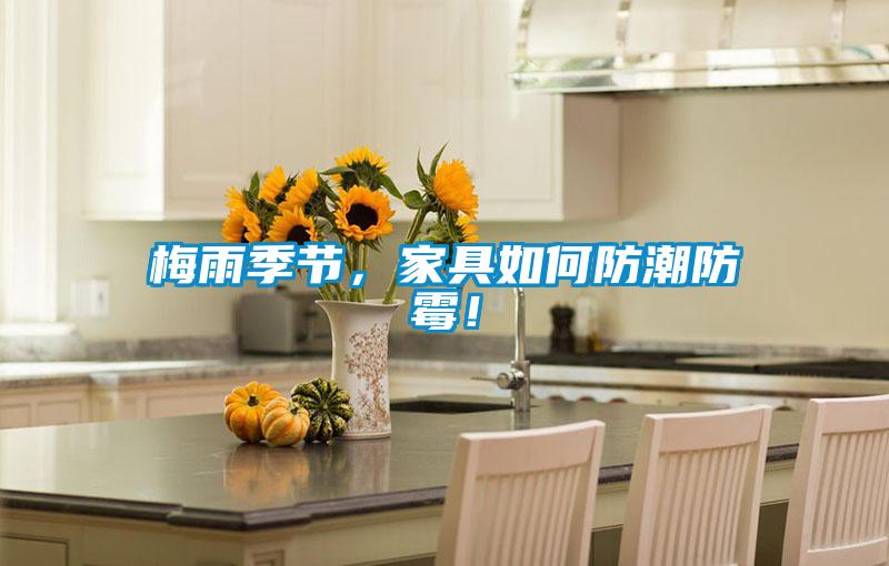 梅雨季節，家具如何防潮防霉！