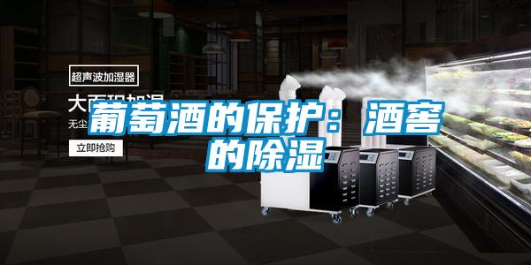 葡萄酒的保護(hù):酒窖的除濕