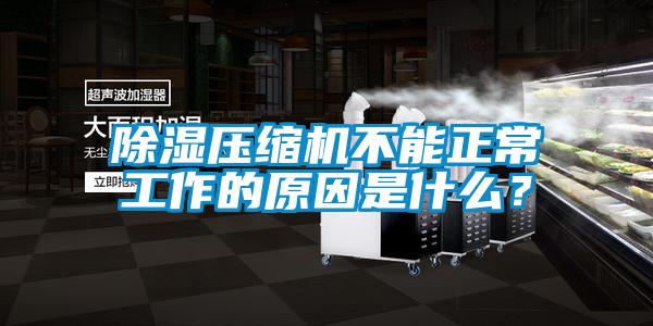 除濕壓縮機不能正常工作的原因是什么?