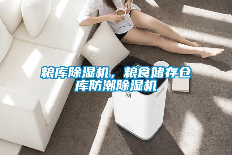 糧庫除濕機，糧食儲存倉庫防潮除濕機