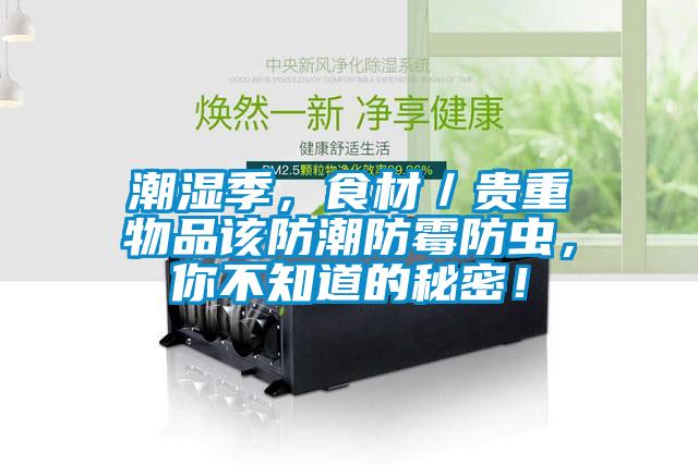 潮濕季,食材/貴重物品該防潮防霉防蟲,你不知道的秘密!