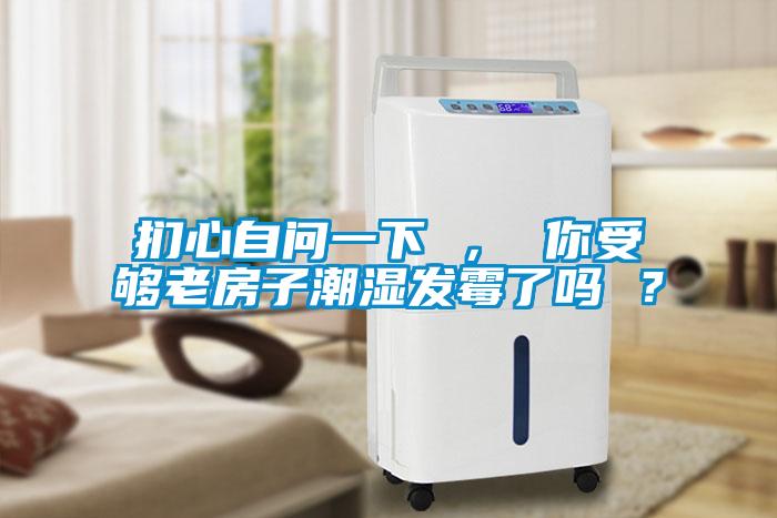 捫心自問一下 ， 你受夠老房子潮濕發霉了嗎 ？