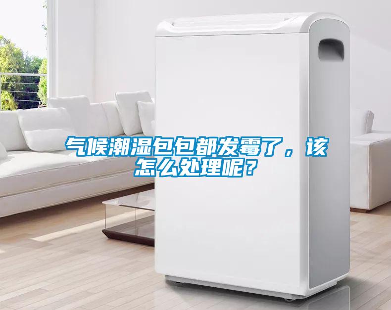 氣候潮濕包包都發霉了，該怎么處理呢？