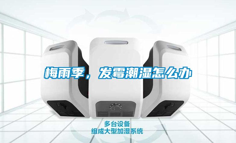 梅雨季，發(fā)霉潮濕怎么辦