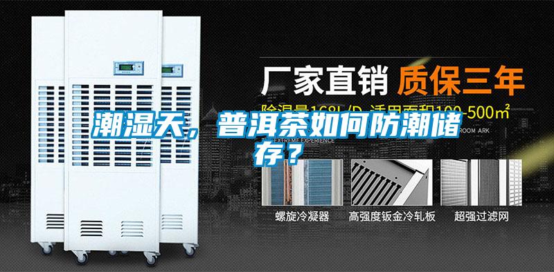 潮濕天，普洱茶如何防潮儲存？