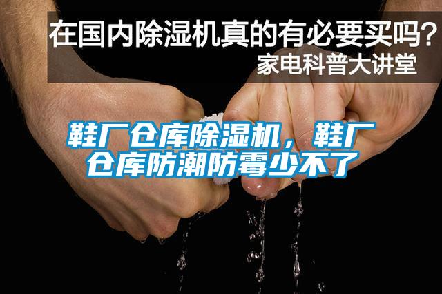 鞋廠倉庫除濕機(jī)，鞋廠倉庫防潮防霉少不了