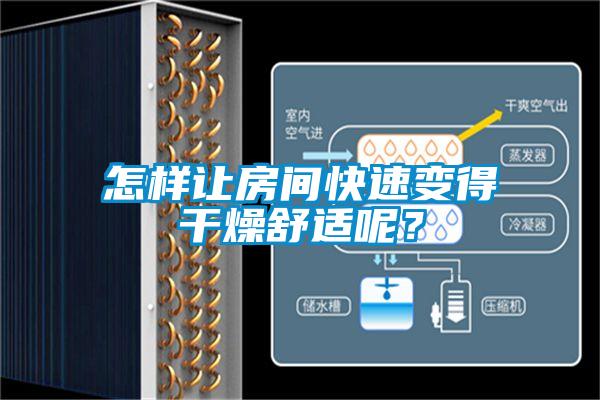 怎樣讓房間快速變得干燥舒適呢?