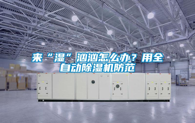 來“濕”洶洶怎么辦？用全自動除濕機防范