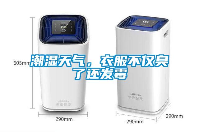 潮濕天氣，衣服不僅臭了還發霉