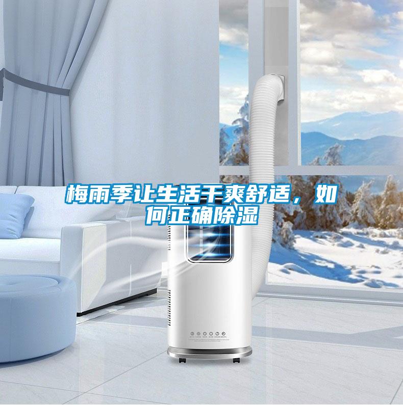梅雨季讓生活干爽舒適，如何正確除濕