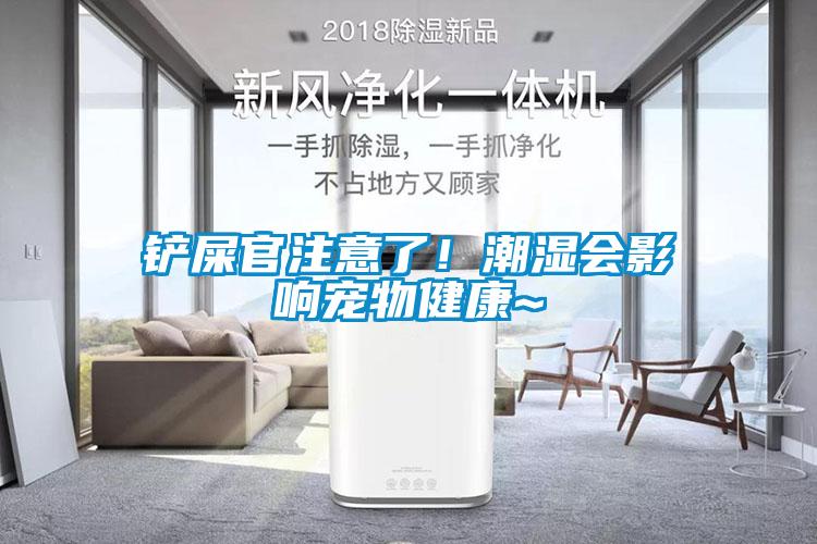 鏟屎官注意了！潮濕會影響寵物健康~