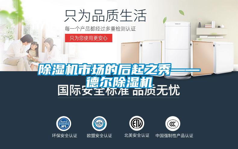 除濕機市場的后起之秀——德爾除濕機