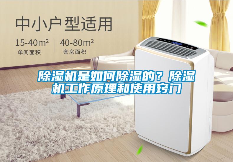 除濕機(jī)是如何除濕的?除濕機(jī)工作原理和使用竅門