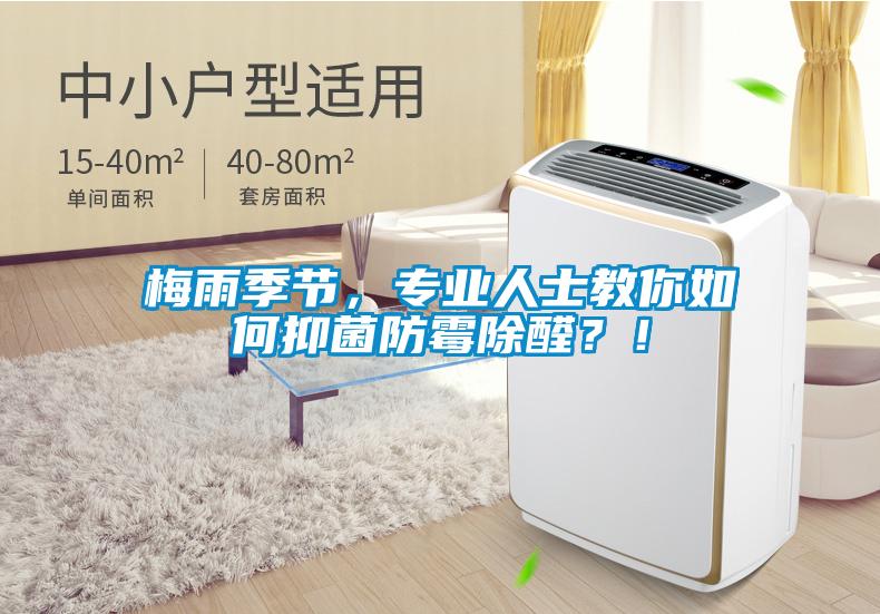 梅雨季節(jié)，專業(yè)人士教你如何抑菌防霉除醛？！