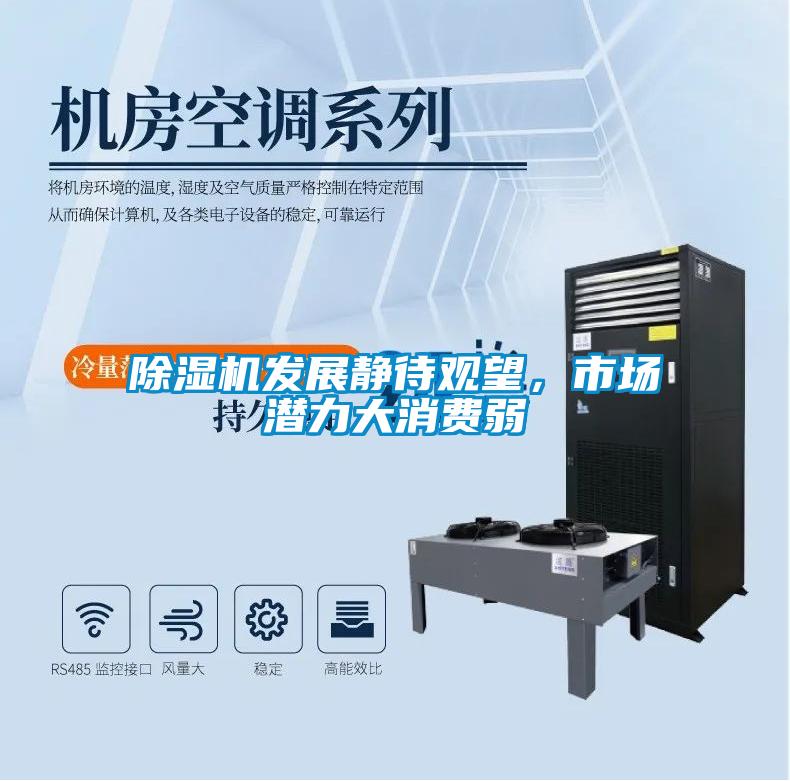 除濕機發展靜待觀望，市場潛力大消費弱