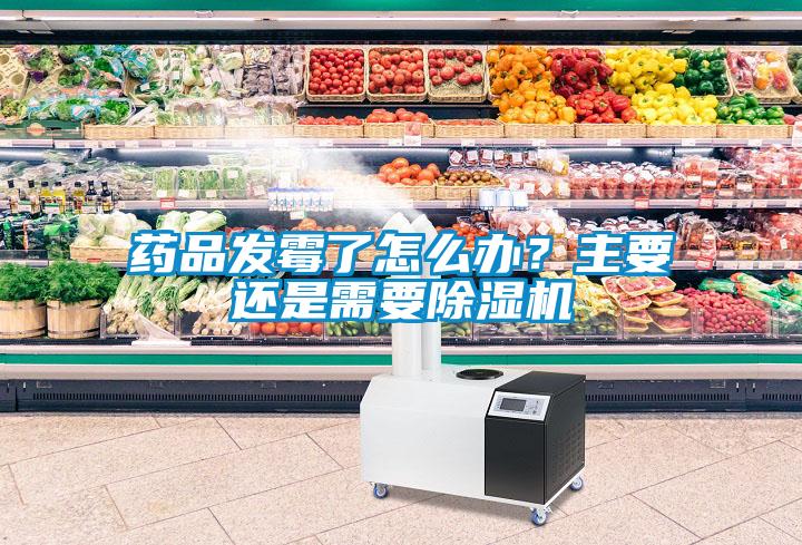 藥品發(fā)霉了怎么辦？主要還是需要除濕機(jī)