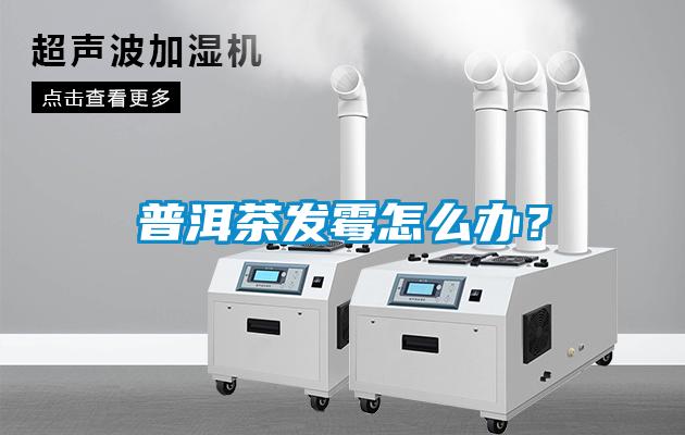 普洱茶發霉怎么辦?