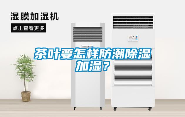 茶葉要怎樣防潮除濕加濕？