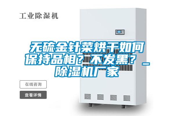 無(wú)硫金針菜烘干如何保持品相?不發(fā)黑?_除濕機(jī)廠家