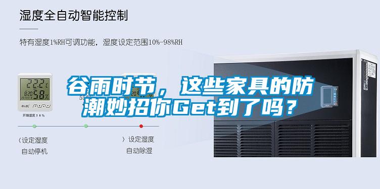 谷雨時節，這些家具的防潮妙招你Get到了嗎？