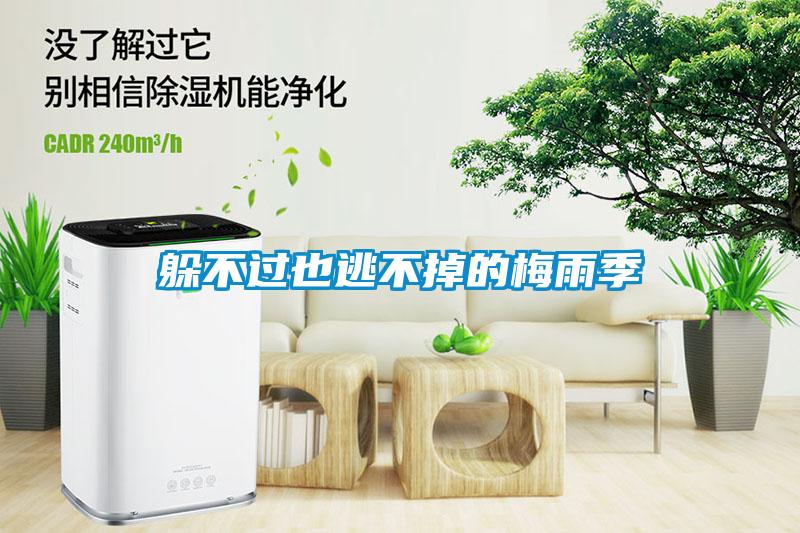 躲不過也逃不掉的梅雨季