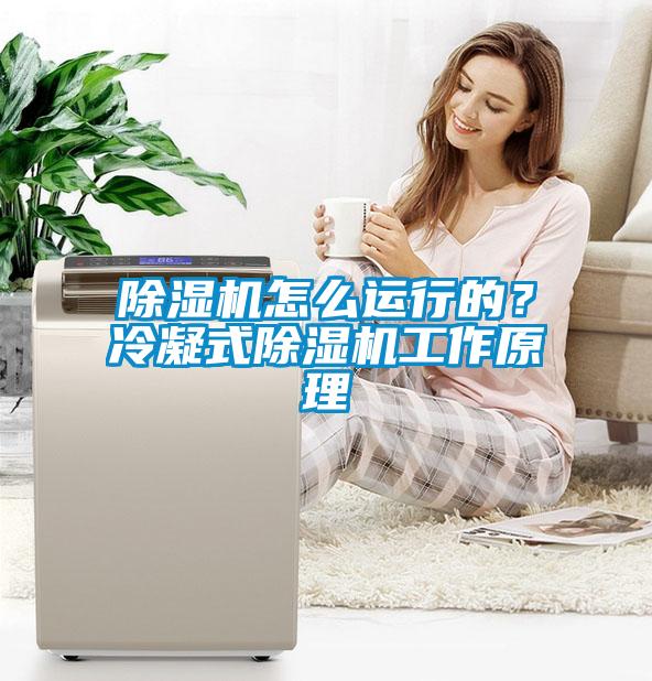 除濕機怎么運行的?冷凝式除濕機工作原理