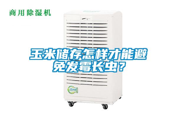 玉米儲(chǔ)存怎樣才能避免發(fā)霉長(zhǎng)蟲？
