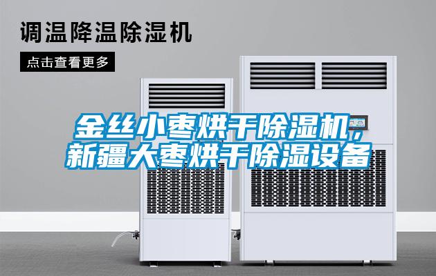 金絲小棗烘干除濕機，新疆大棗烘干除濕設備