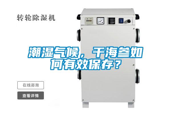 潮濕氣候，干海參如何有效保存？