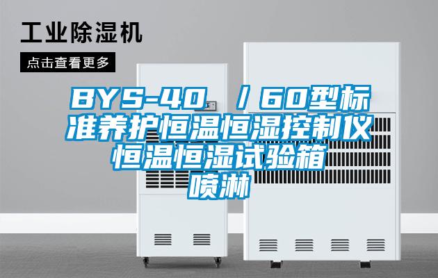 BYS-40 /60型標準養護恒溫恒濕控制儀 恒溫恒濕試驗箱 噴淋