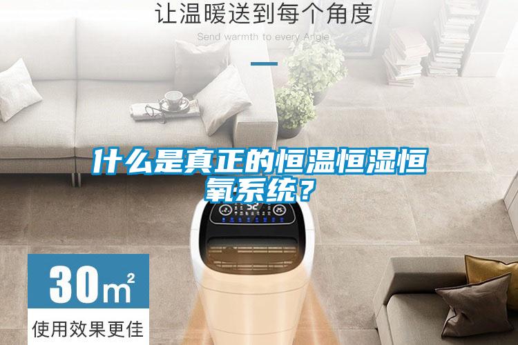 什么是真正的恒溫恒濕恒氧系統？
