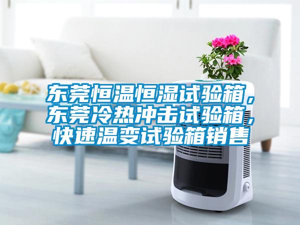 東莞恒溫恒濕試驗箱,東莞冷熱沖擊試驗箱,快速溫變試驗箱銷售