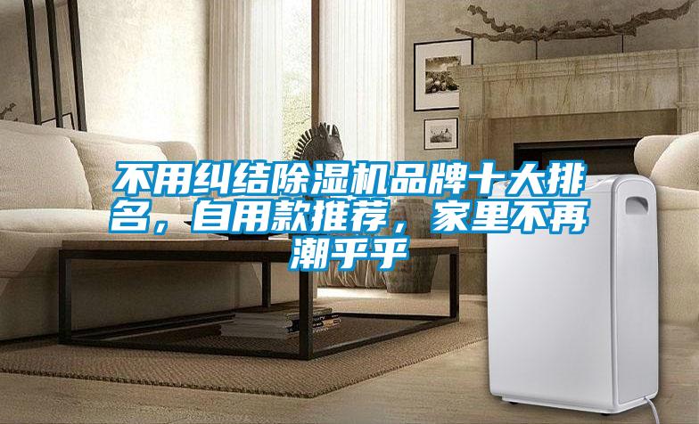 不用糾結(jié)除濕機品牌十大排名，自用款推薦，家里不再潮乎乎