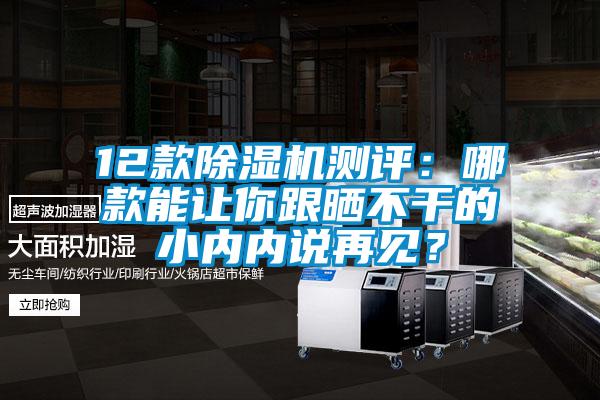 12款除濕機(jī)測評：哪款能讓你跟曬不干的小內(nèi)內(nèi)說再見？