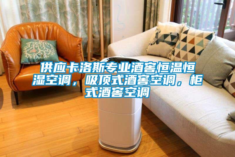 供應卡洛斯專業酒窖恒溫恒濕空調，吸頂式酒窖空調，柜式酒窖空調
