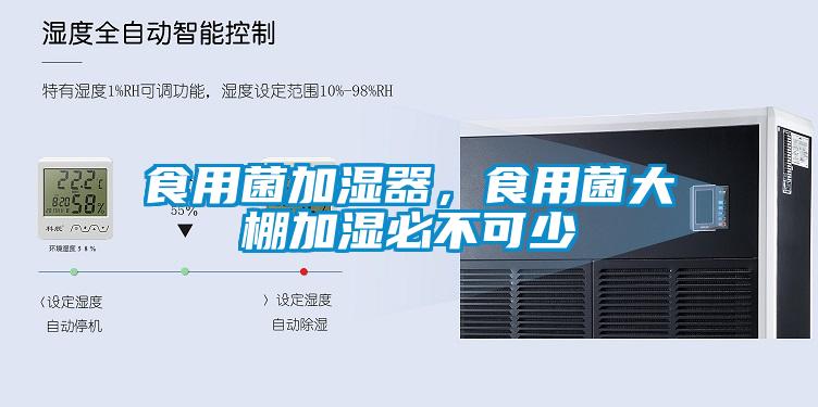 食用菌加濕器，食用菌大棚加濕必不可少