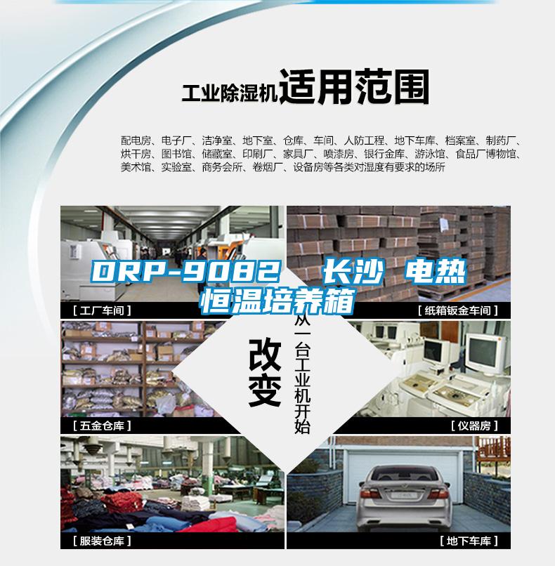 DRP-9082 長沙 電熱恒溫培養箱