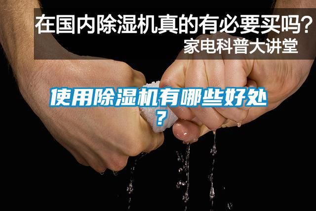 使用除濕機有哪些好處?