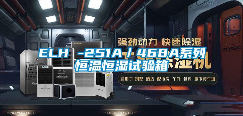 ELH -251A/468A系列恒溫恒濕試驗(yàn)箱