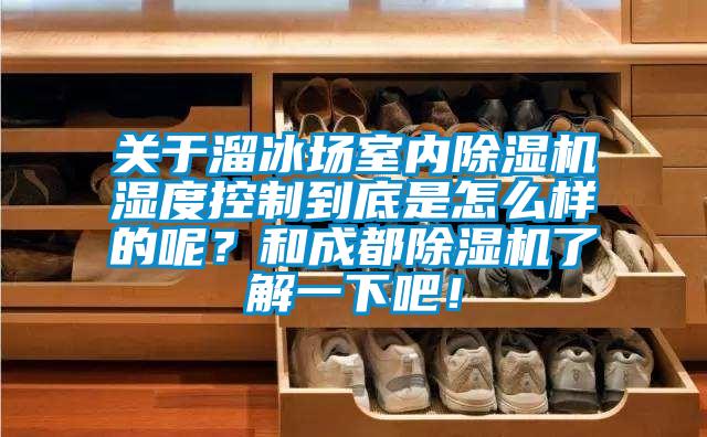 關于溜冰場室內除濕機濕度控制到底是怎么樣的呢？和成都除濕機了解一下吧！