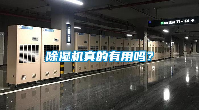 除濕機真的有用嗎？