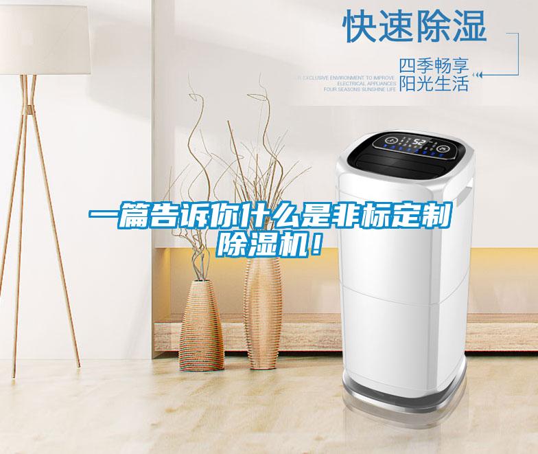 一篇告訴你什么是非標定制除濕機!