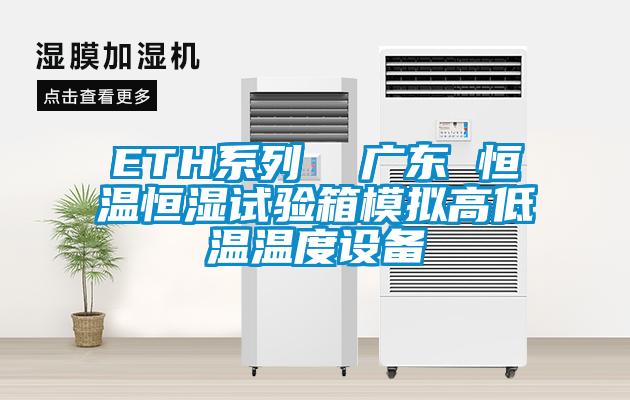 ETH系列 廣東 恒溫恒濕試驗(yàn)箱模擬高低溫溫度設(shè)備