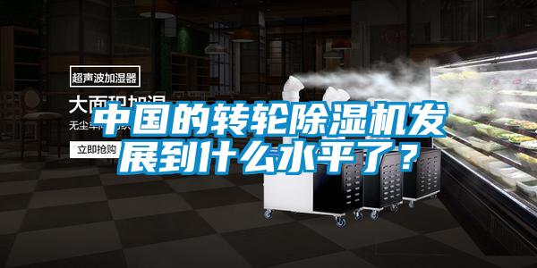 中國的轉(zhuǎn)輪除濕機(jī)發(fā)展到什么水平了？