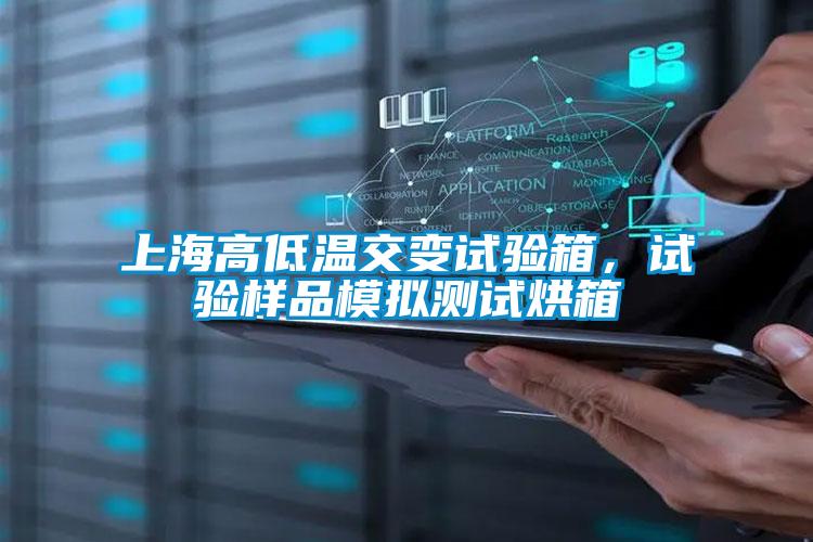 上海高低溫交變試驗箱，試驗樣品模擬測試烘箱