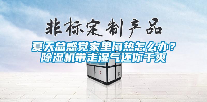 夏天總感覺家里悶熱怎么辦？除濕機帶走濕氣還你干爽