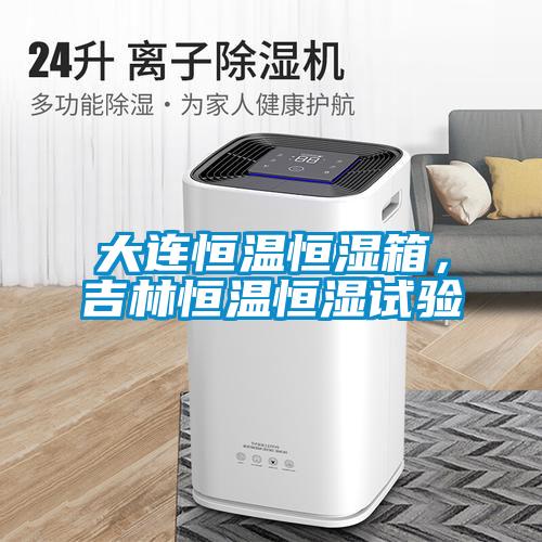 大連恒溫恒濕箱,吉林恒溫恒濕試驗