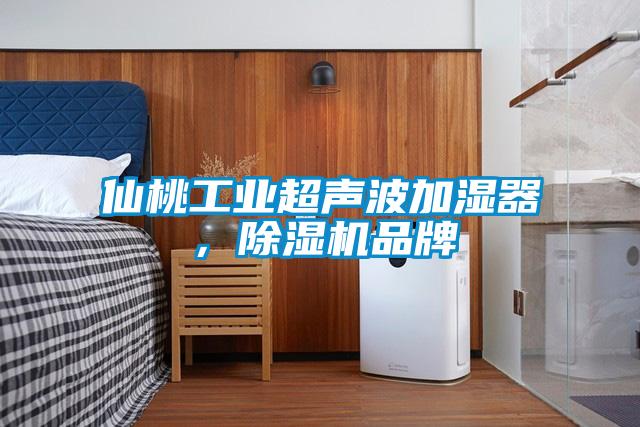 仙桃工業超聲波加濕器，除濕機品牌